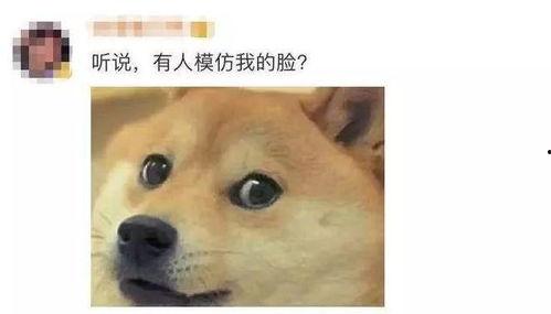 微信吃瓜表情包啥意思