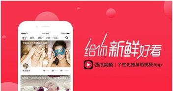 娱乐吃瓜酱视频边框图片