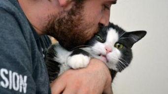 吃瓜娱乐的喵哥是谁啊图片,吃瓜娱乐界的神秘喵星人